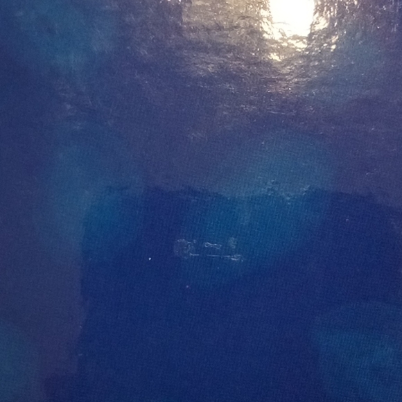 3/$15 Blue Floral Journal - Picture 4 of 4